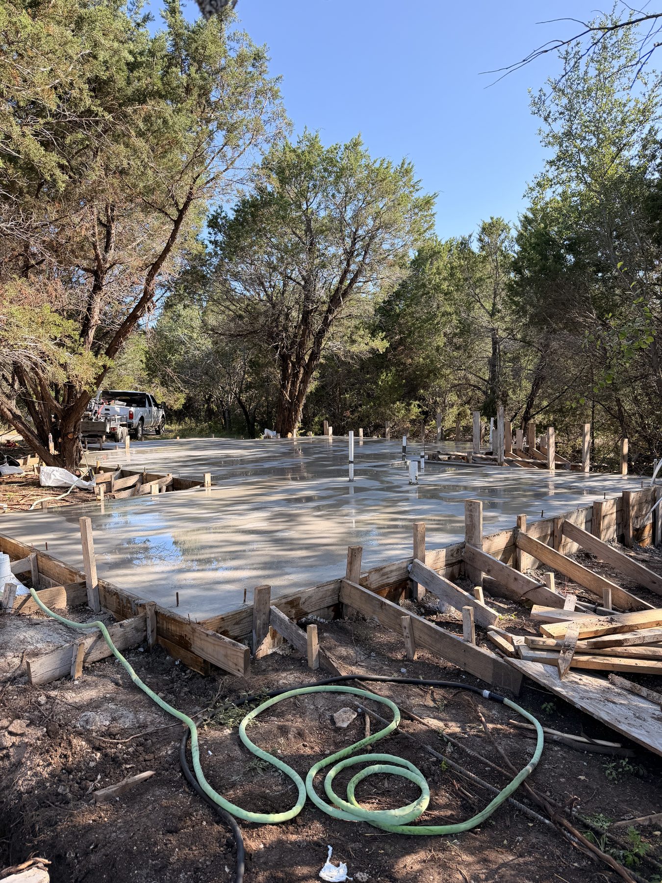 Forms and rebar set among the trees